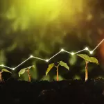 The Impact of Sustainable Practices on Business Sustainability