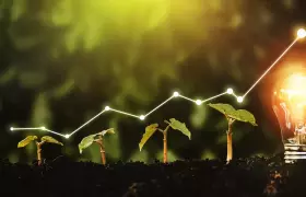 The Impact of Sustainable Practices on Business Sustainability